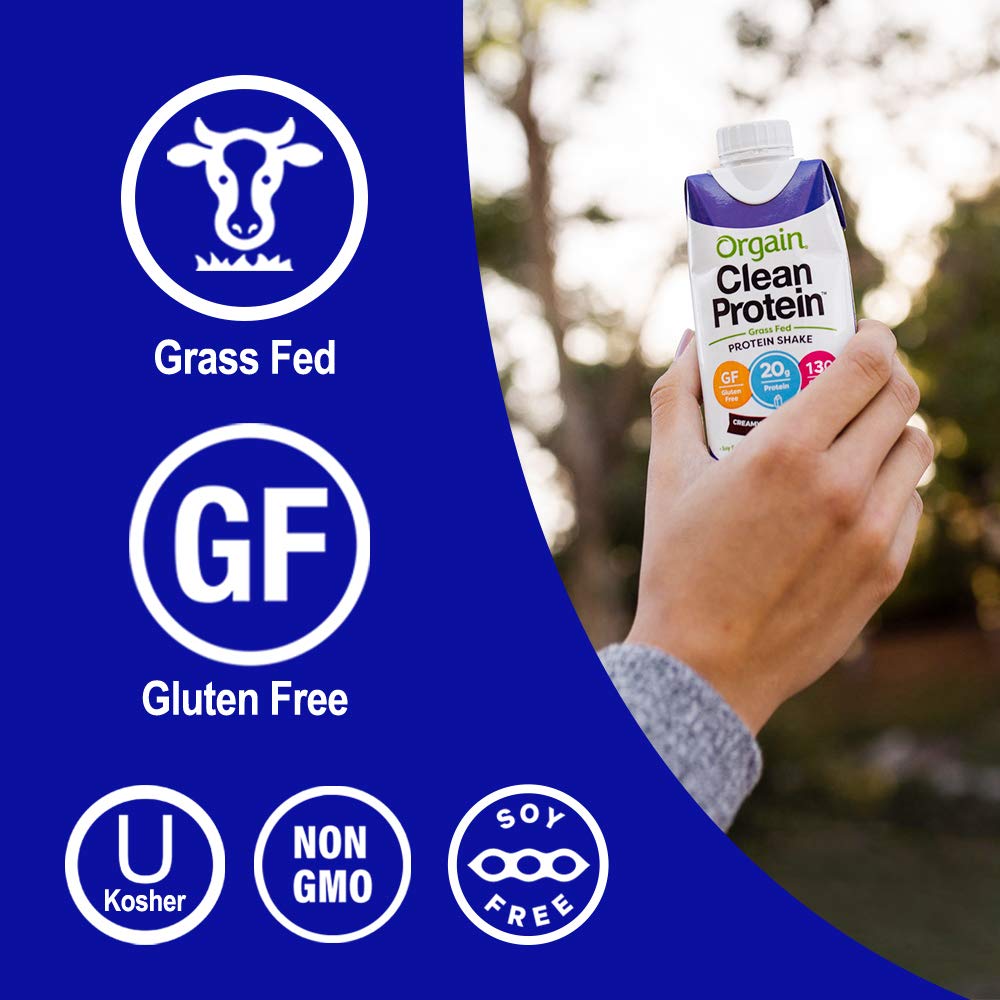Grass Fed Hydrolyzed Collagen Peptides Protein Powder - Paleo & Keto Friendly, Amino Acid Supplement - Creamy Chocolate Fudge Flavor