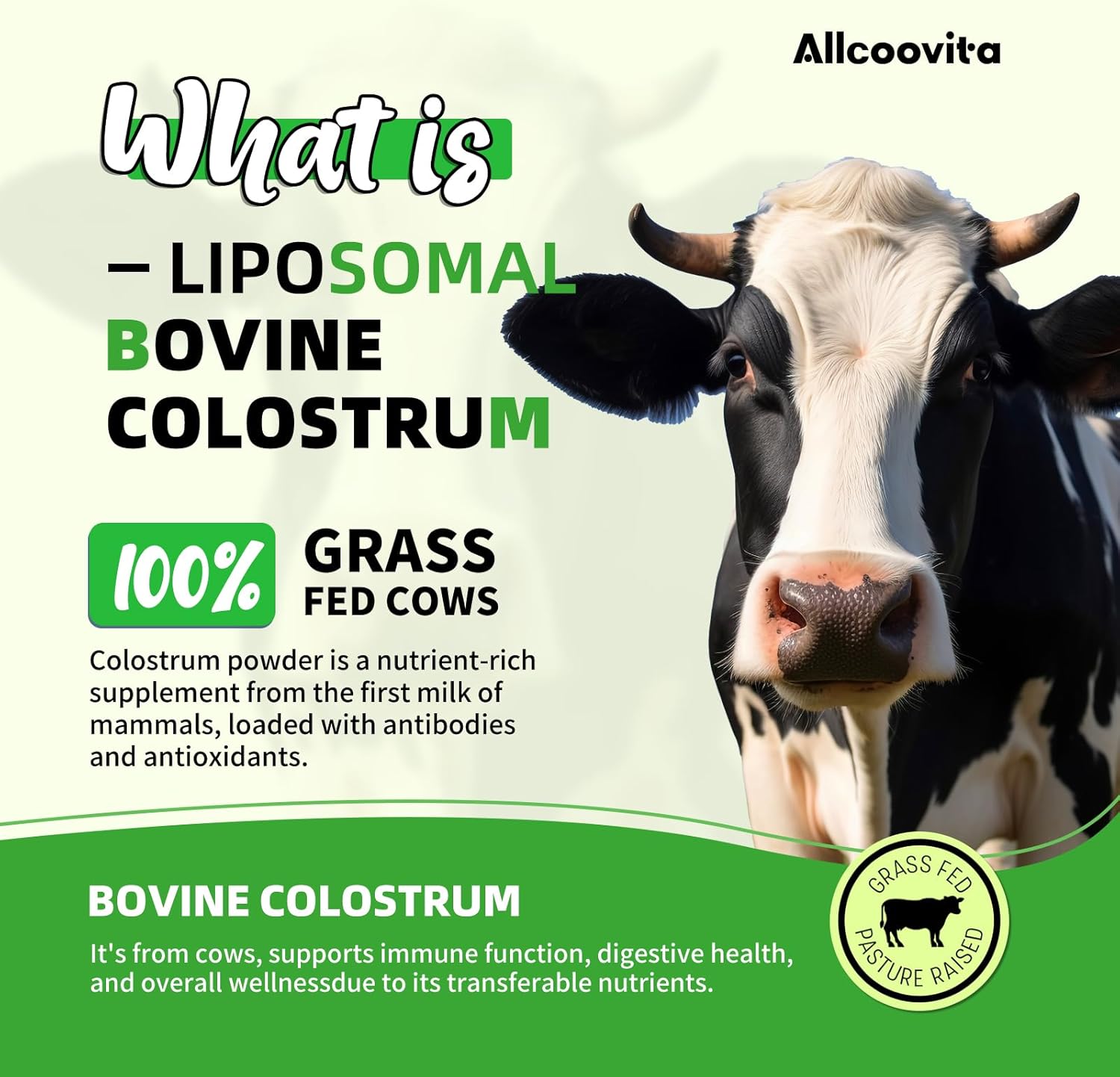 Grass Fed Liposomal Bovine Colostrum Powder - Premium Supplement for Gut Support, Immune Health, and Hair Growth - 72 Servings, 180g/6.35 oz Bottle