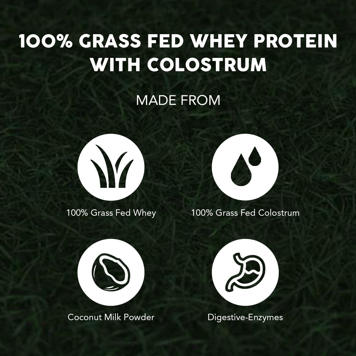 Grass Fed Whey Protein by Paleovalley - 100% Pure and Natural