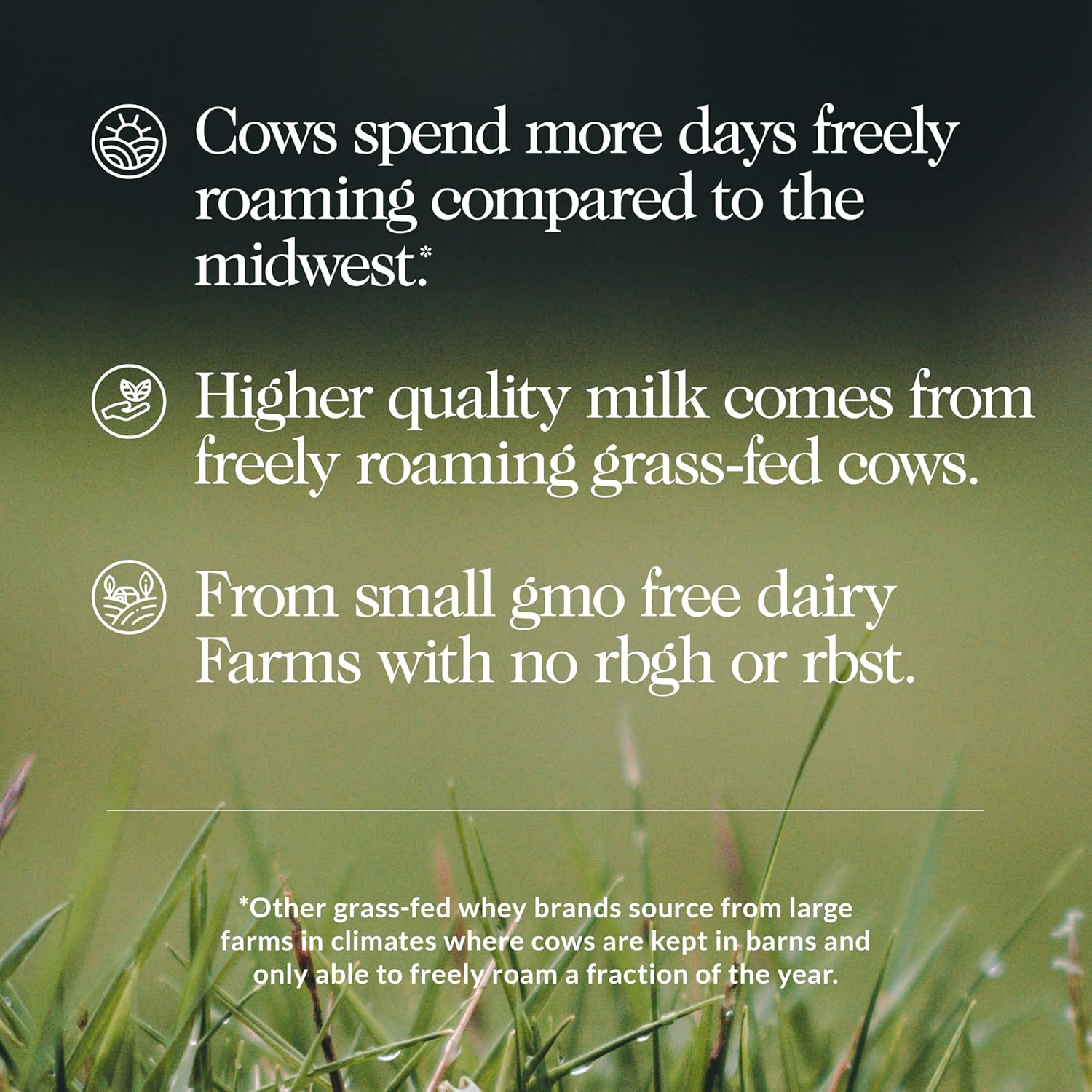 Grass Fed Whey Protein Powder - 1lb, Undenatured, GMO-Free, Soy-Free, Gluten-Free - 15 Servings for Growth and Recovery