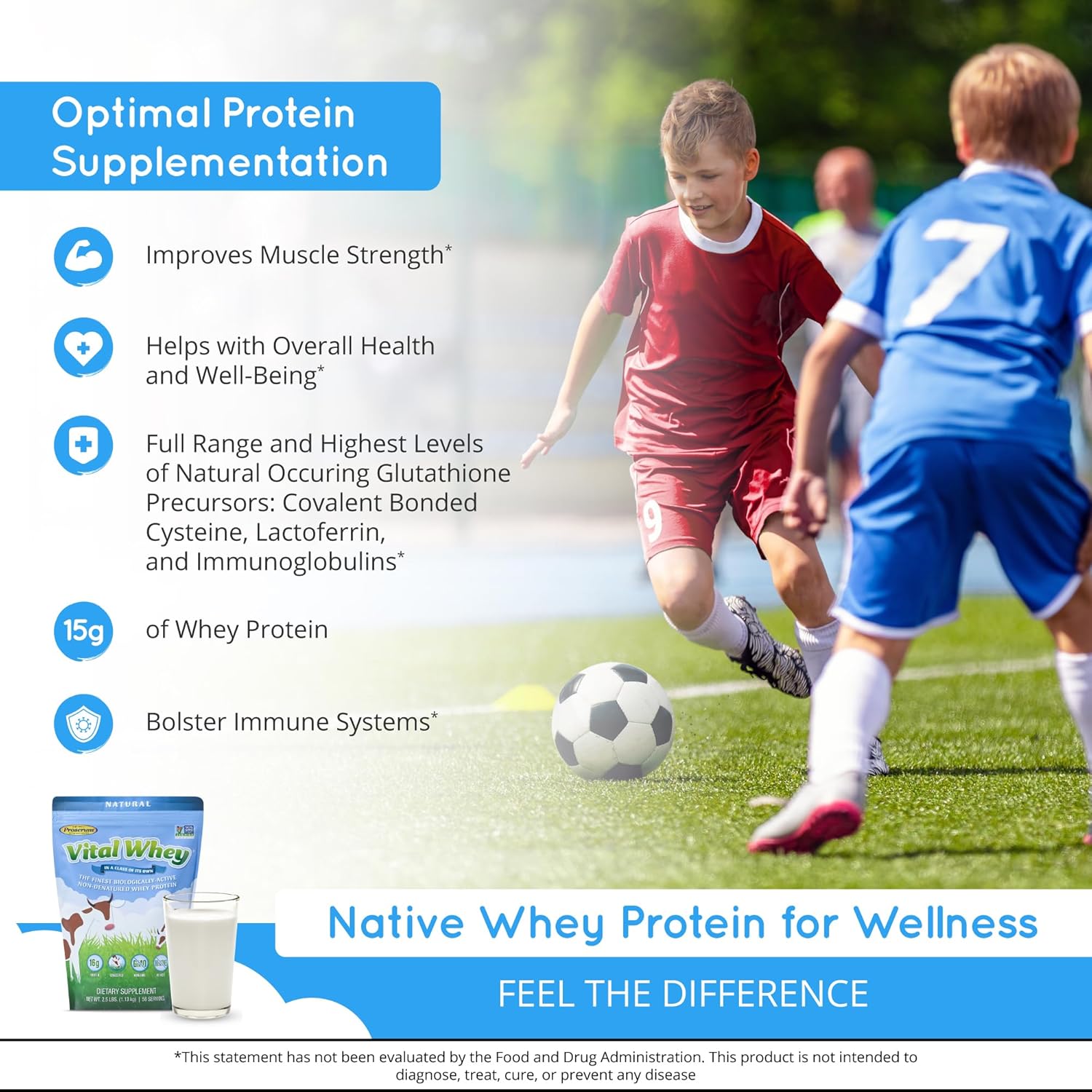 Grass-Fed Whey Protein Powder for Immune Vitality, Natural Flavor 600g (30 Servings), 15g Protein Per Serve - Clean Holistic Wellness Nutrition