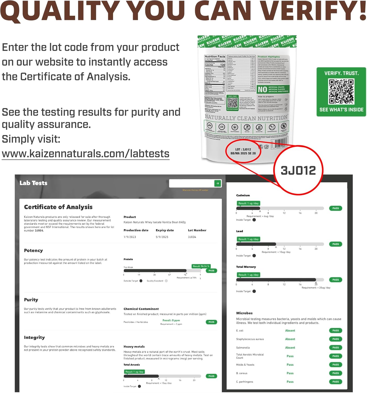 Grass-Fed Whey Protein Powder with BCAAs and EAAs - Lactose-Free, Gluten-Free, Non-GMO - 20 Servings, 1.5lb