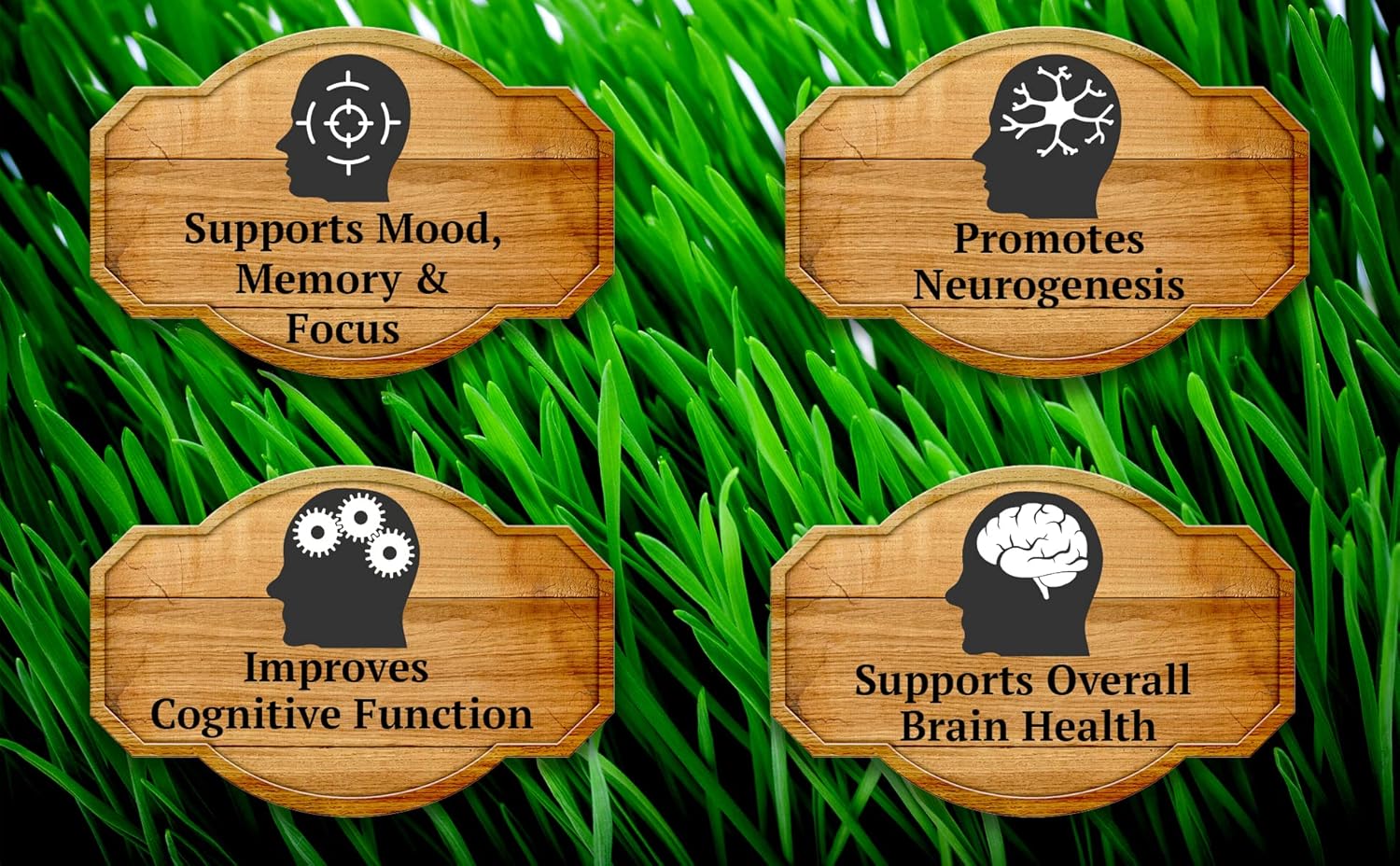 Grassfed Beef Brain Capsules for Memory, Mood, Focus, Energy - 90 Caps, 1500mg