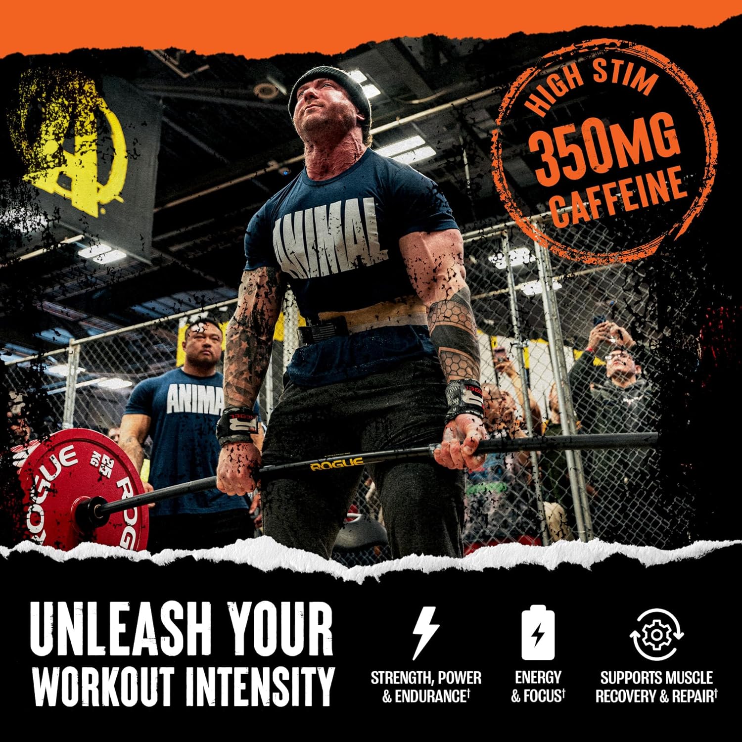 Green Apple Animal Fury Pre Workout Powder - Energy and Focus Supplement with BCAAs, Caffeine, and Beta-Alanine - 20 Servings