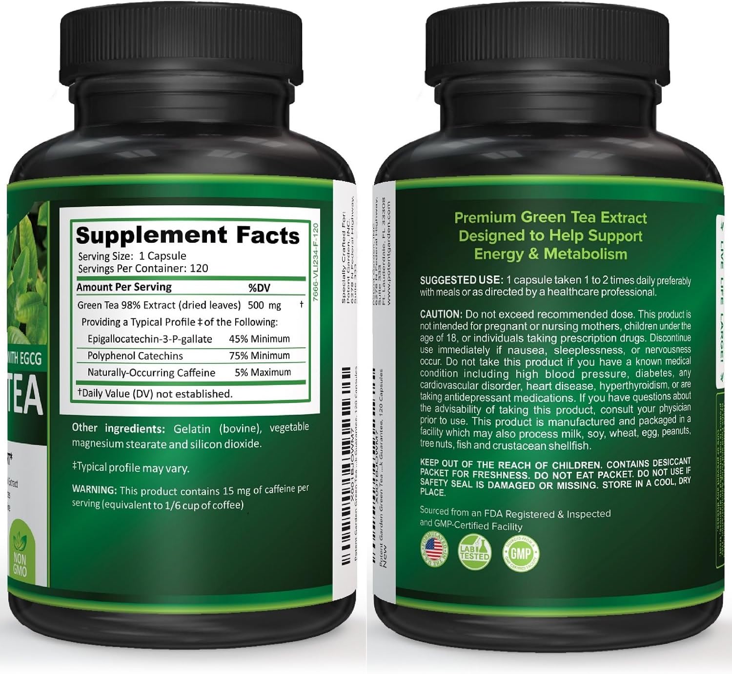 Green Tea Extract Capsules - Natural Energy, Mental Focus, Immune Support, Antioxidant, Healthy Heart - 120 Capsules
