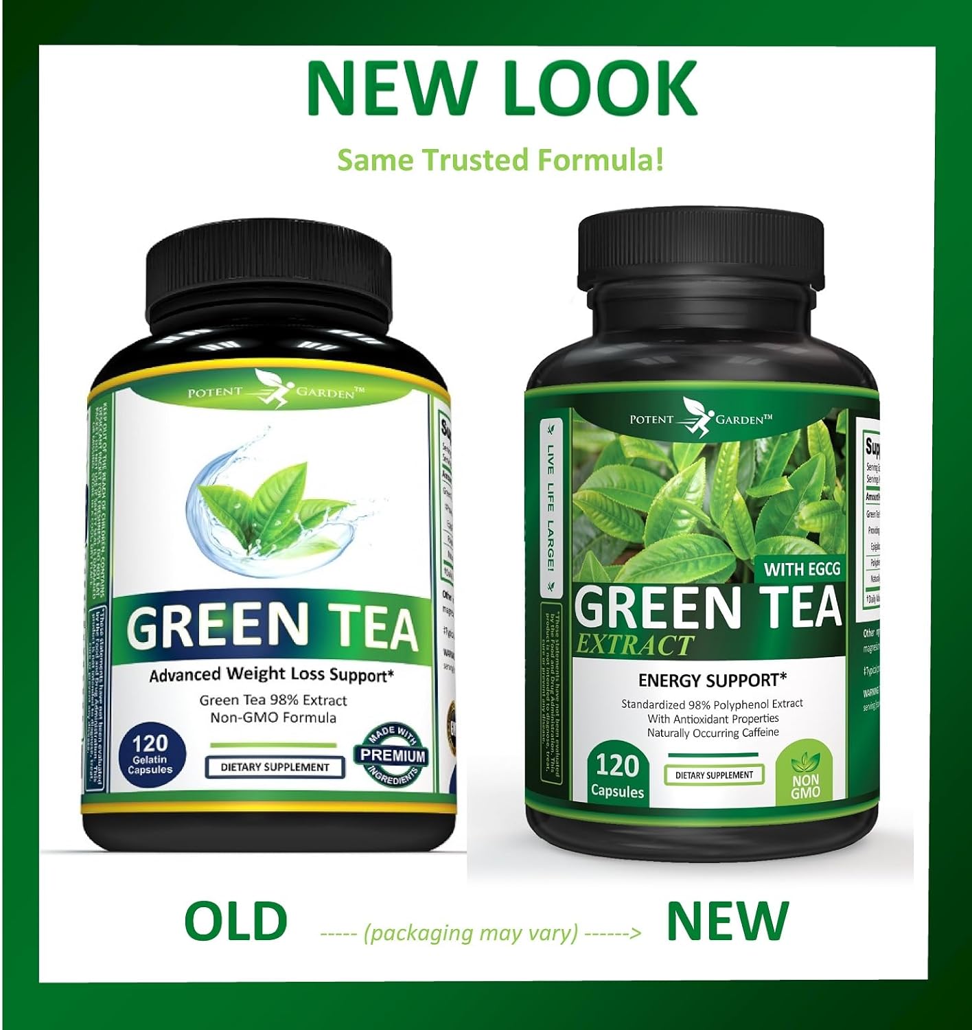 Green Tea Extract Capsules - Natural Energy, Mental Focus, Immune Support, Antioxidant, Healthy Heart - 120 Capsules