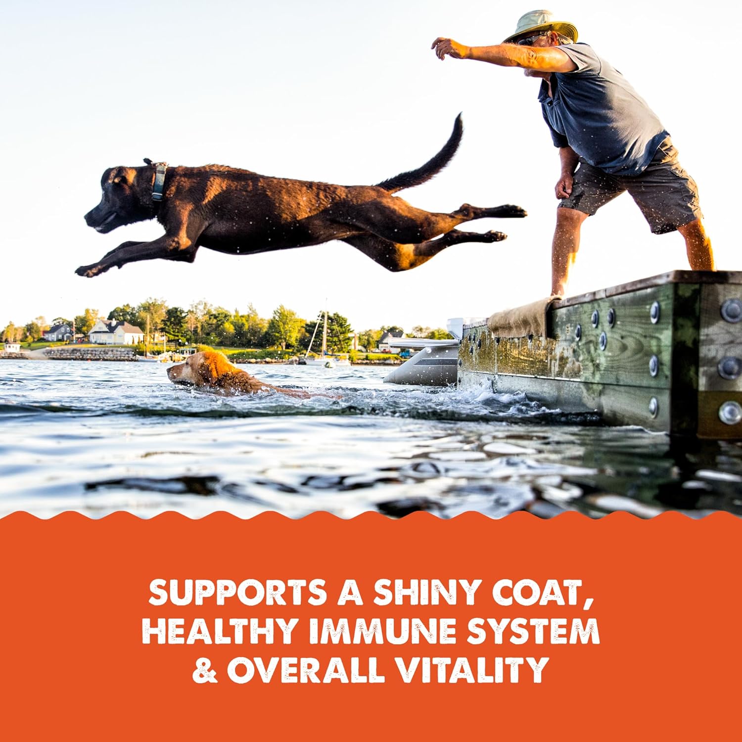 Grizzly All-Natural Wild Alaskan Salmon Oil Dog Food Supplement - Omega 3 Fatty Acids - 32 oz Bottle