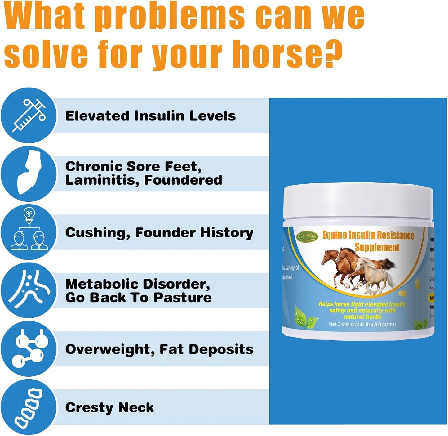 Guanshiya Equine Insulin Resistance Supplement: Supports Horses with High Insulin, Laminitis, Cushing's, Sore Feet - 0.44 lbs