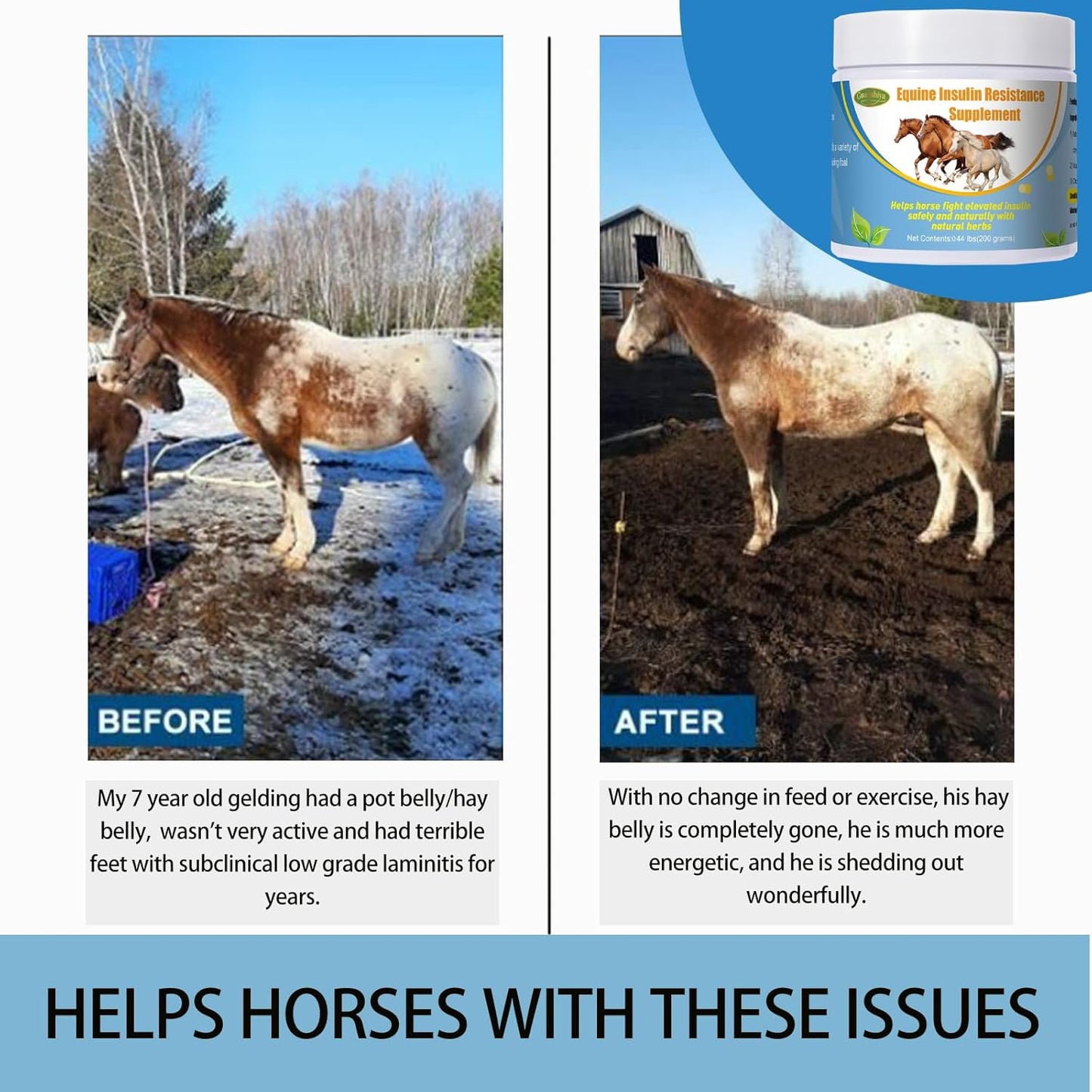 Guanshiya Equine Insulin Resistance Supplement: Supports Horses with High Insulin, Laminitis, Cushing's, Sore Feet - 0.44 lbs