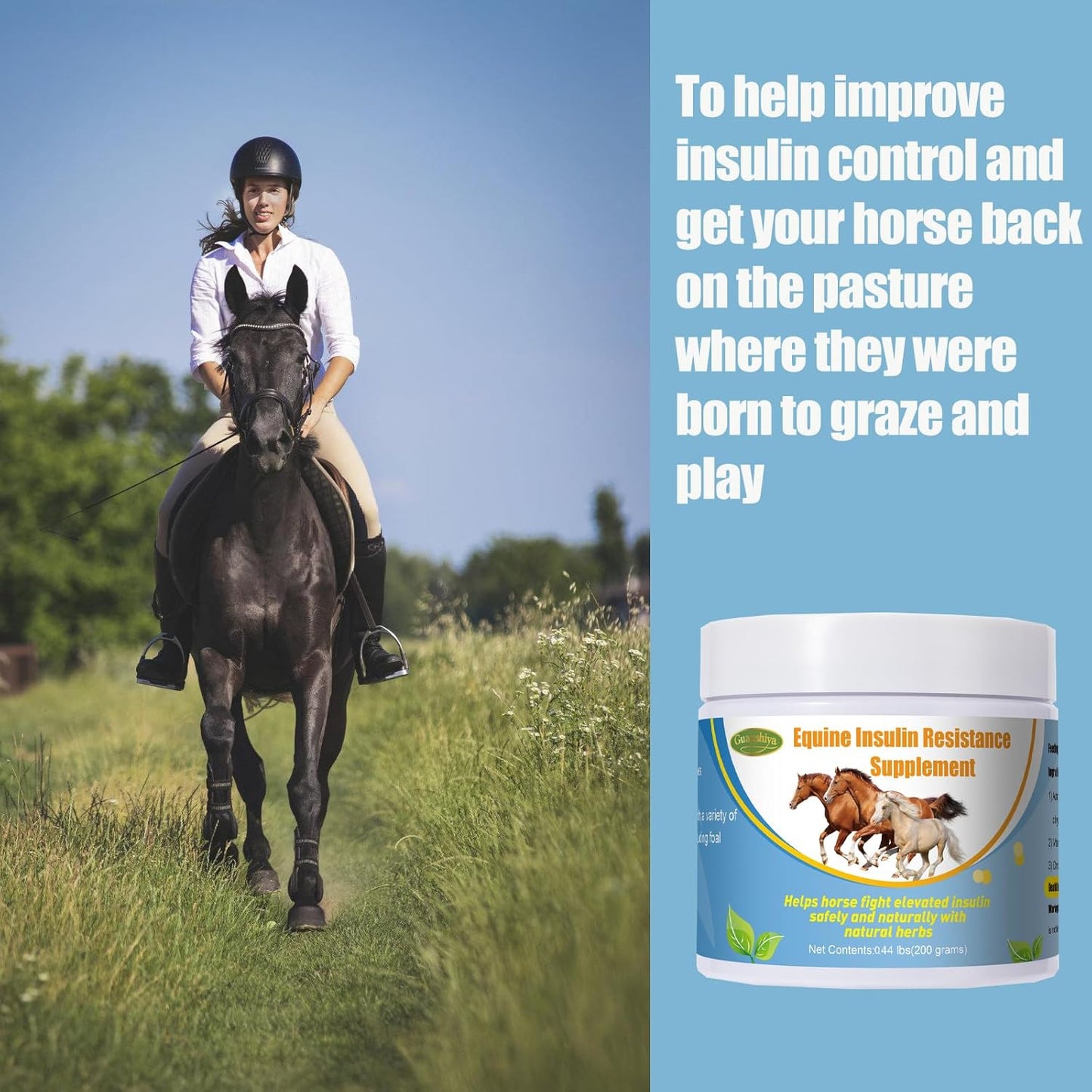 Guanshiya Equine Insulin Resistance Supplement: Supports Horses with High Insulin, Laminitis, Cushing's, Sore Feet - 0.44 lbs