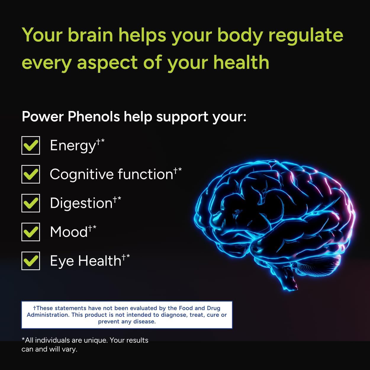 Gundry MD Power Phenols Brain Health Supplement - Boost Cognition, Focus, Motivation, & Energy - 30 Servings
