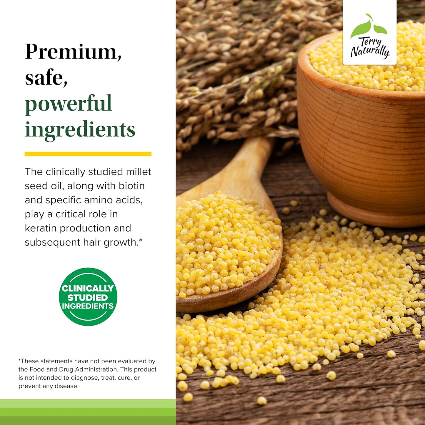 Hair Renew Formula: Hair Growth Support Supplement with Horsetail, Biotin, Folic Acid, and Millet Seed Oil - 60 Softgels