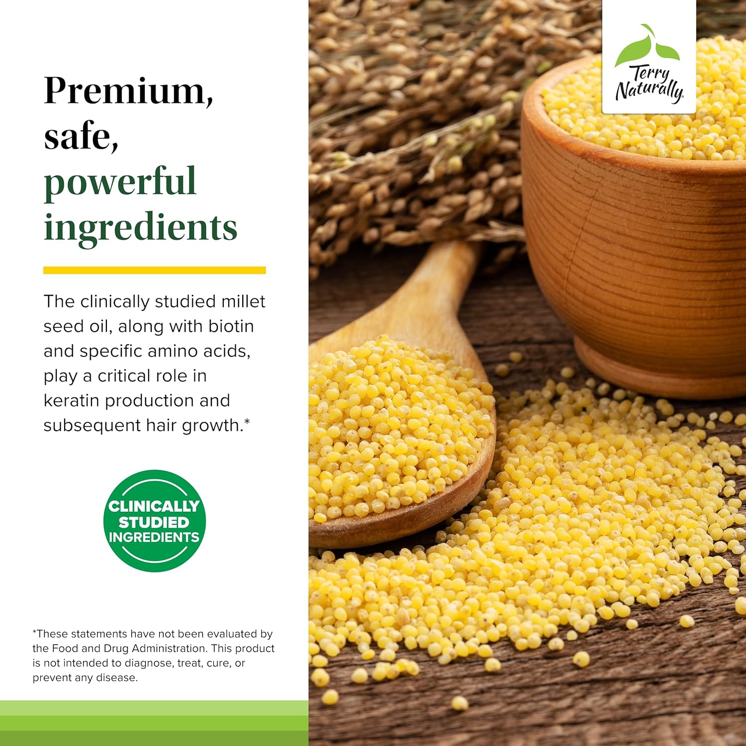 Hair Renew Formula: Hair Growth Support Supplement with Horsetail, Biotin, Folic Acid, and Millet Seed Oil - 60 Softgels