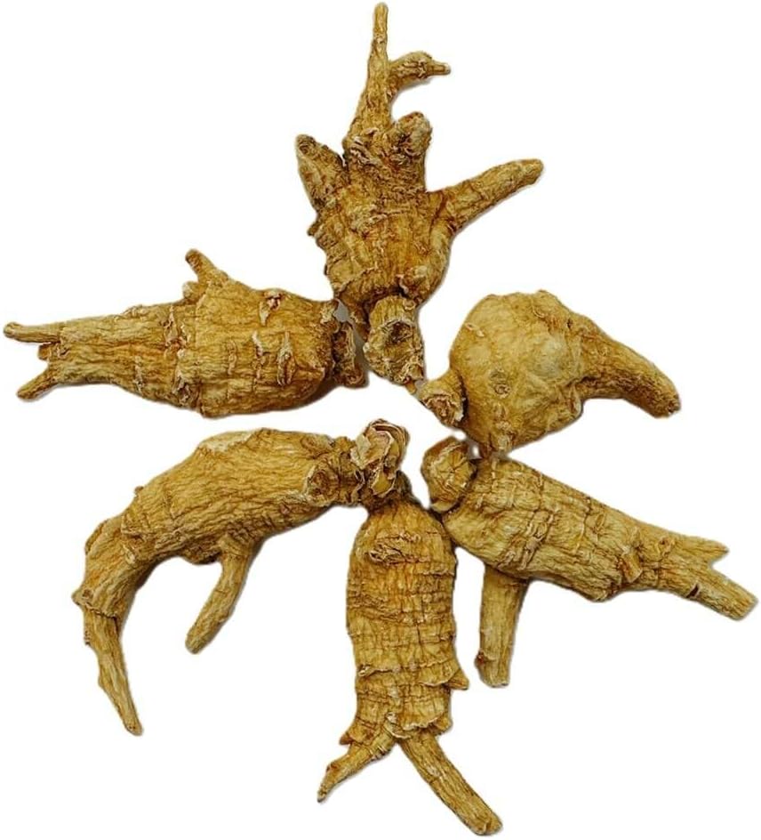 Hand-Selected Green Nutrition A Grade American Ginseng (4 oz) - Medium Round Size