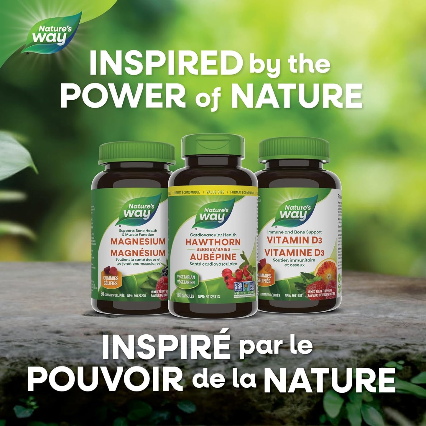 Hawthorn Berries by Nature's Way - 100 Vegetarian Capsules for Cardiovascular Health