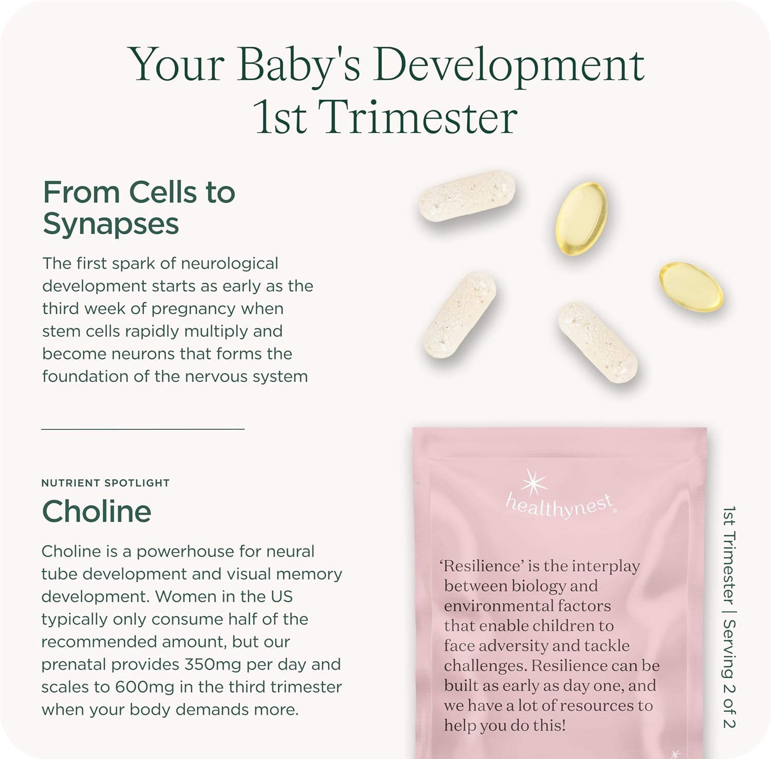Healthybaby HealthyNest Prenatal Vitamin: Preconception & 1st Trimester Support for Fetal Brain Development, Methylfolate, Choline, DHA, Iron, Inositol - 31 Day Supply