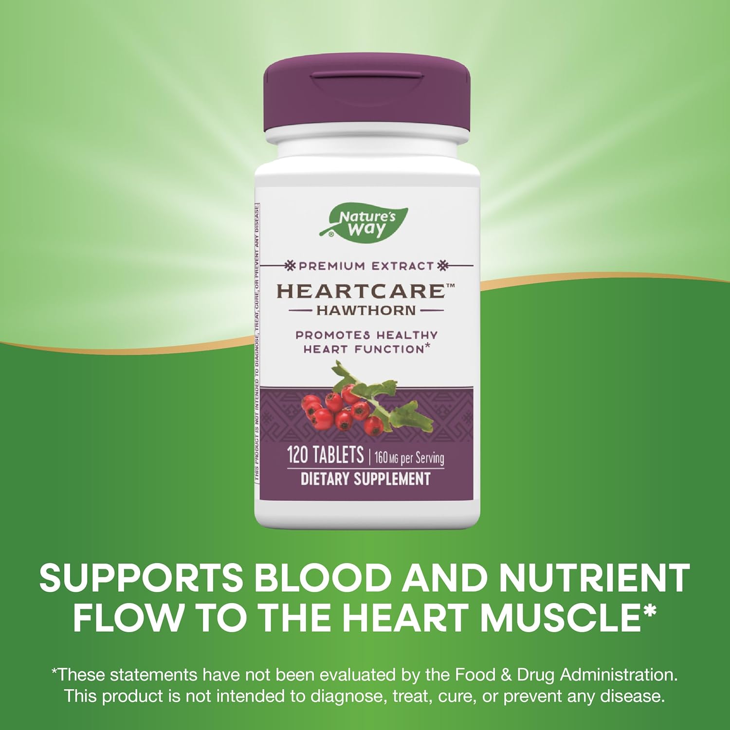 Heart Care Hawthorn Extract - Promotes Healthy Heart Function - 120 Tablets