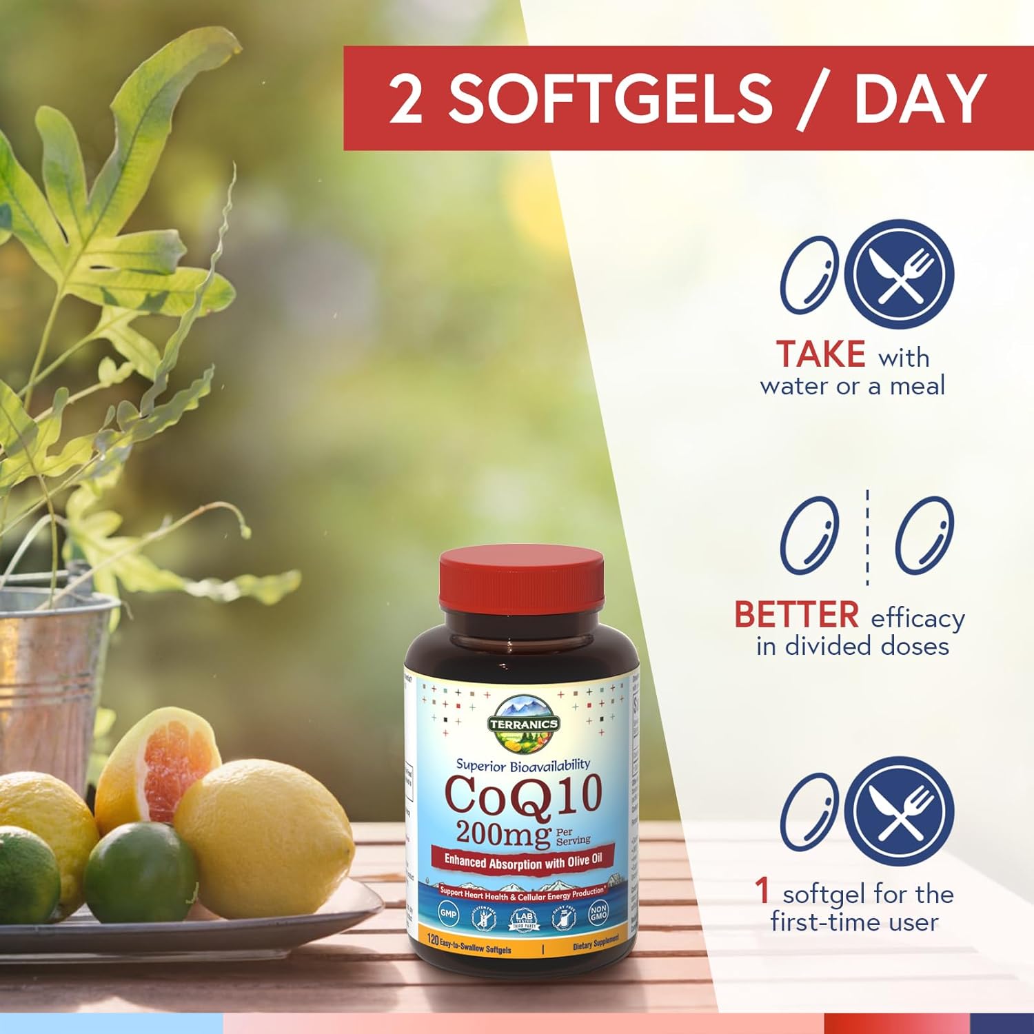 Heart & Digestion Support Bundle: Terranics Probiotics & CoQ10 - 60 Billion Probiotics, 200mg Coenzyme Q10, Extra Virgin Olive Oil - Bundle & Save