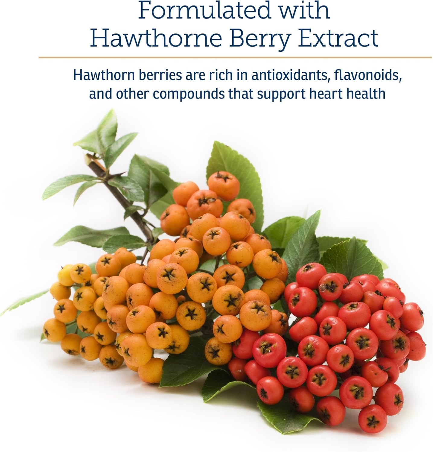 Heart Health Support for Senior Dogs & Cats - Hawthorn Berry Capsules with Taurine, Magnesium, and Potassium - 90ct