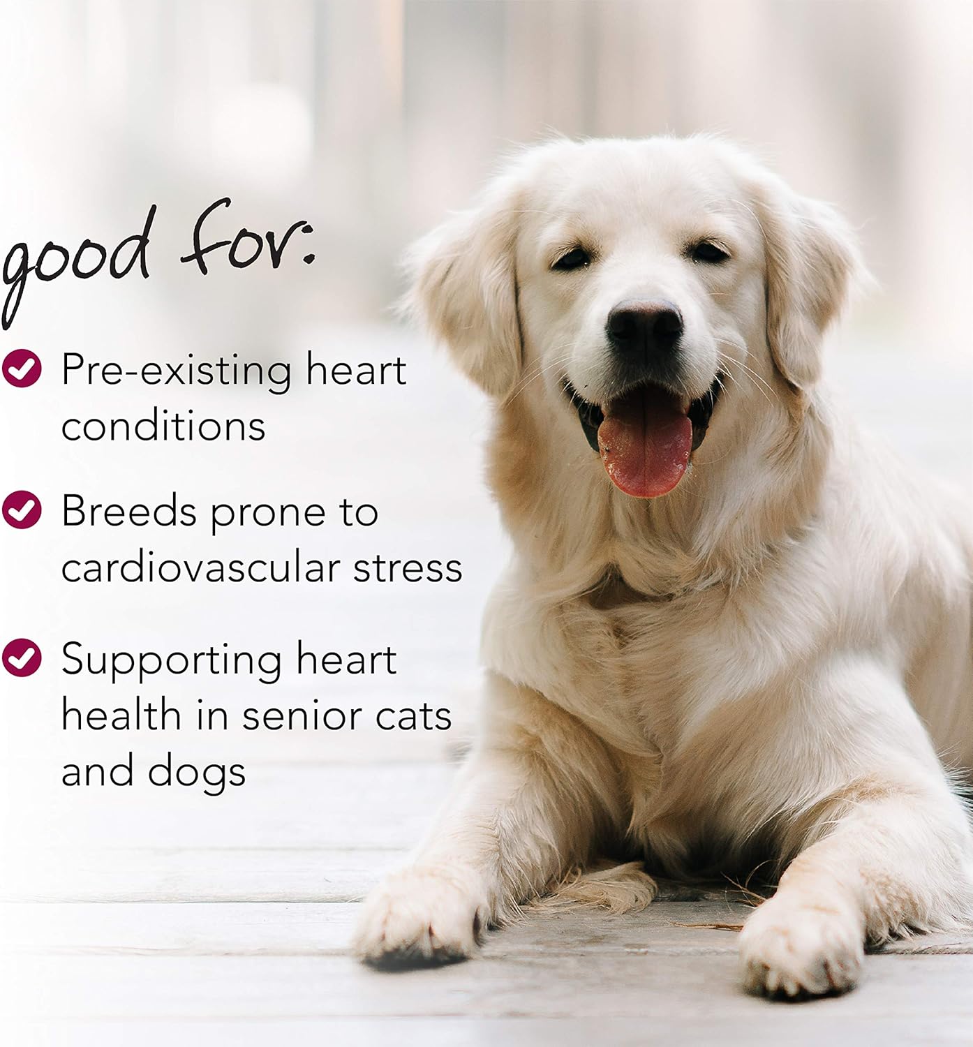 Heart Support Supplement for Dogs & Cats - Omega-3 & Taurine Capsules - VetriScience Cardio Strength - 90 Count
