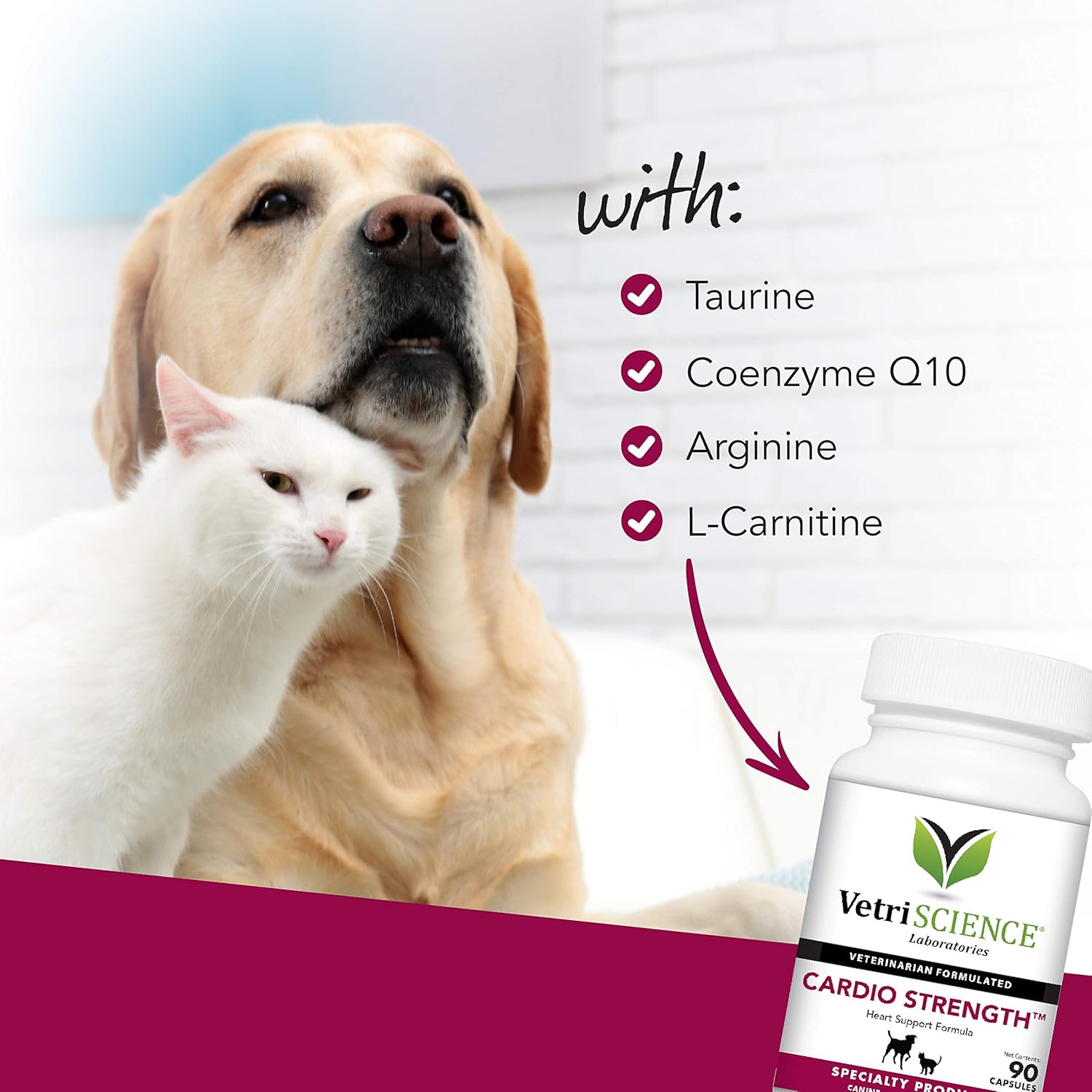 Heart Support Supplement for Dogs & Cats - Omega-3 & Taurine Capsules - VetriScience Cardio Strength - 90 Count