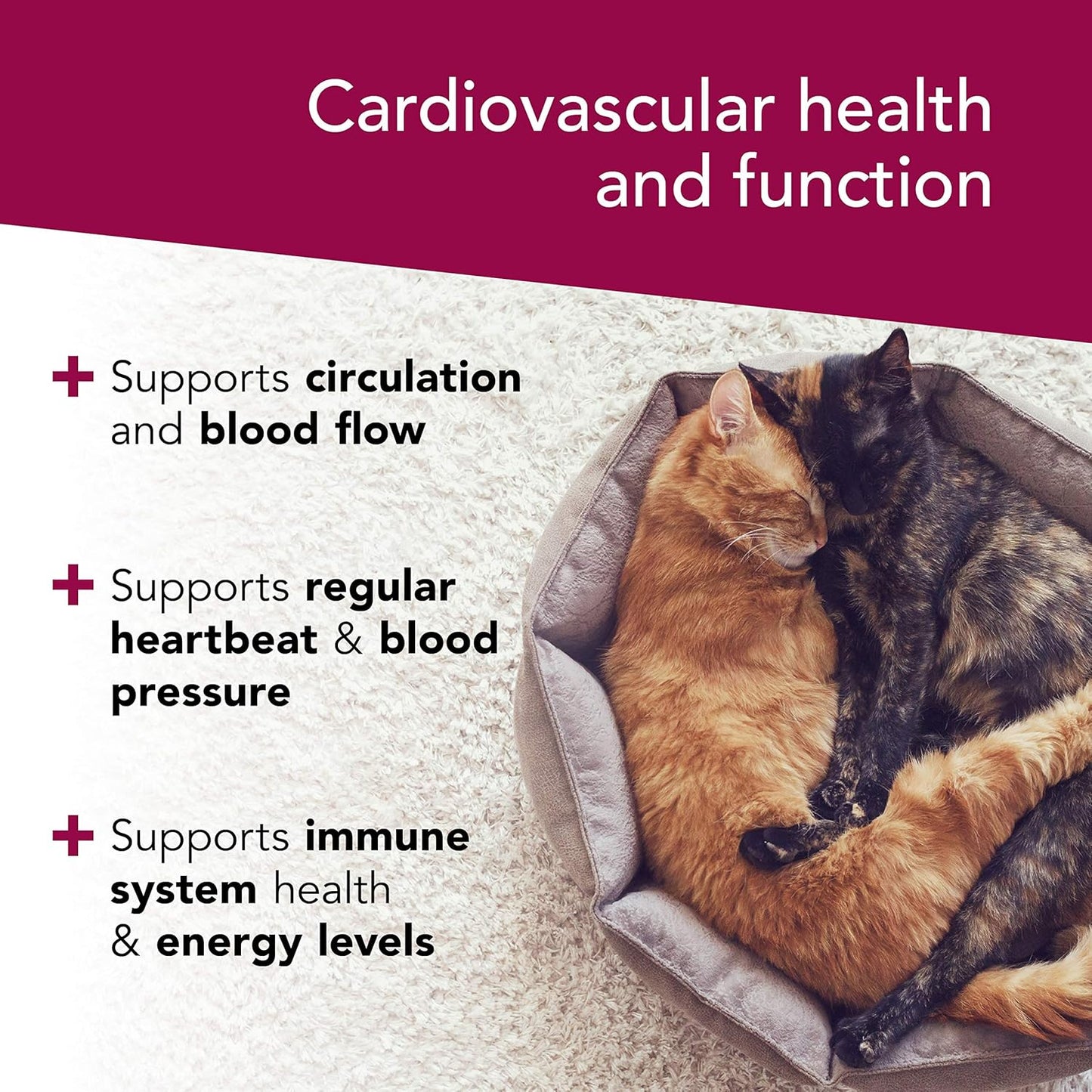 Heart Support Supplement for Dogs & Cats - Omega-3 & Taurine Capsules - VetriScience Cardio Strength - 90 Count