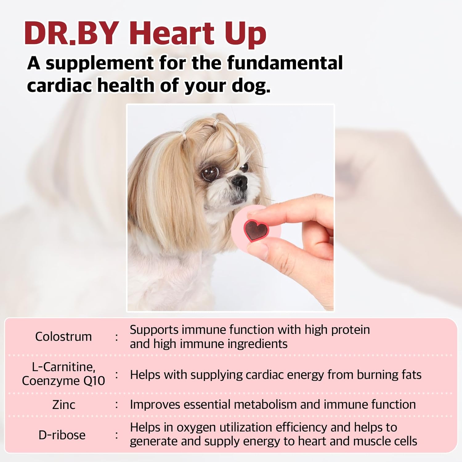 HeartUp Doctor By Dr.by Heart Care Supplements for Dogs - Soft Chews with Colostrum, L-Carnitine, and Coenzyme Q-10 - 2.82 oz (80g), 70 Cheese Flavored Chews