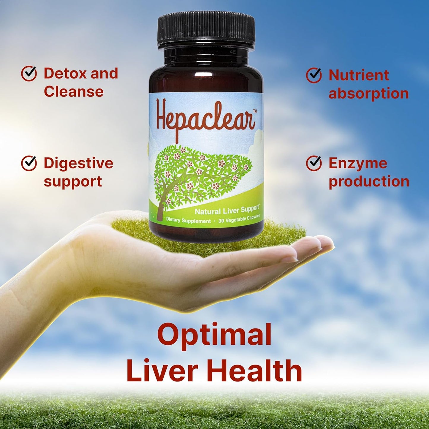 Hepaclear Liver Support Supplement with Hesperidin - Natural, Non-GMO, Vegan & Gluten-Free