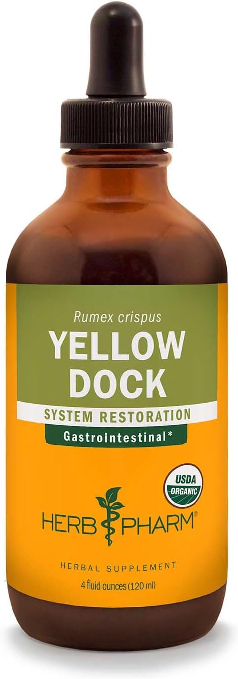Herb Pharm Yellow Dock Liquid Extract - Digestive System Support - 4 oz Bottle