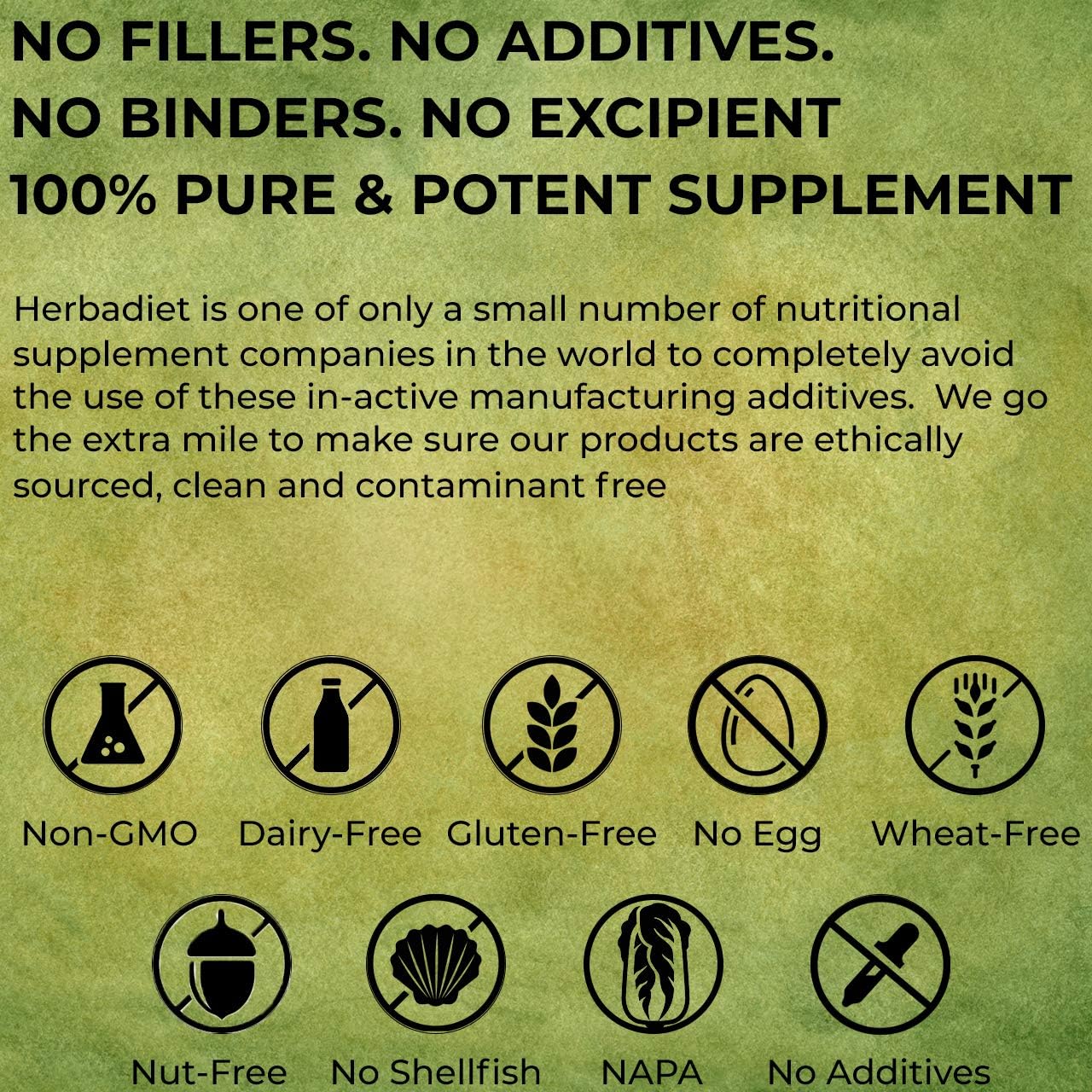 Herbadiet Piperine 95% Powder - Black Pepper Extract 95% (HPLC) - Bioavailability Enhancer for Nutrient Uptake - Gluten-Free, Non-GMO - Bulk Supplement (0.35 oz / 10 gm)