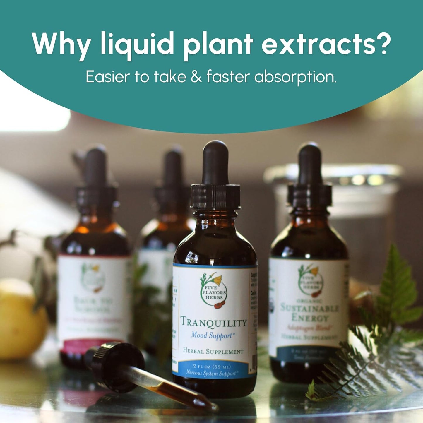 Herbal Ashwagandha Tincture with Five Flavors - Boosts Vitality, Calms Mind, Immune Support - 2 Fl Oz