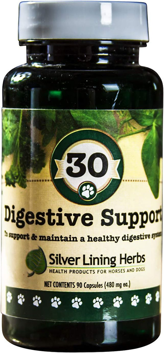 Herbal Canine Digestive Support Supplement for Maintaining Normal Digestive Function - 90 Capsules