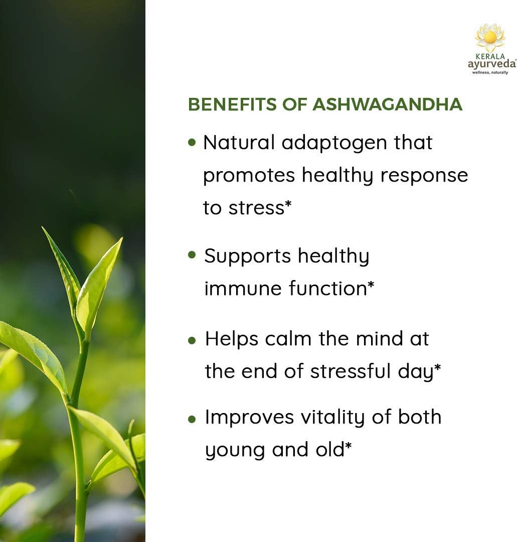 Herbal Dietary Supplement for Immune Support, Stress Relief, and Sleep | Ayurvedic Ashwagandha Capsules | 60 Count Bottle
