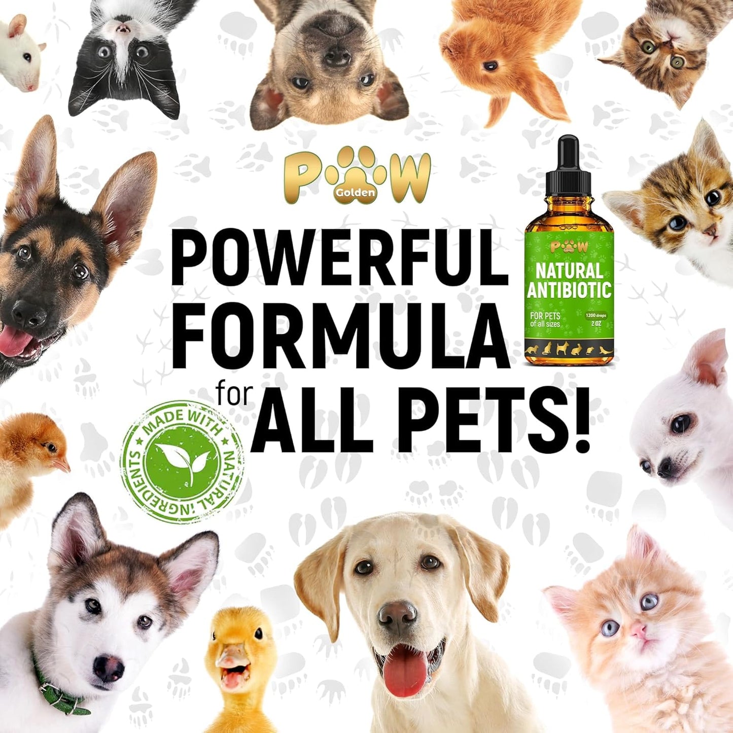 Herbal Dog and Cat Antibiotics in Drops for Allergies, Infections, and UTIs | Skin, Coat, Digestion Care | Pet Vitamins and Supplements | 2 oz Bottle