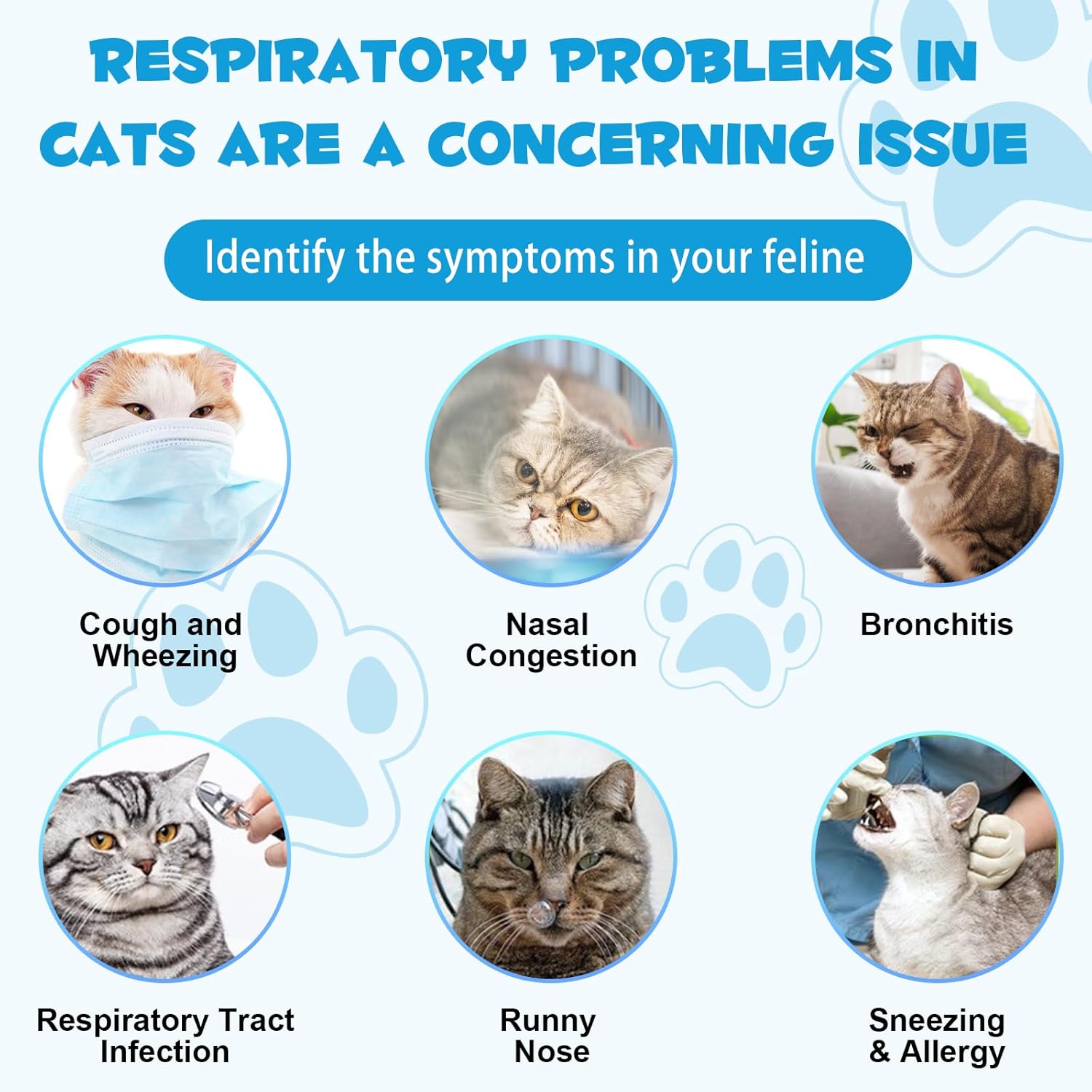 Herbal Drops for Cats with Kennel Cough Relief - Chicken Flavor, 2 Fl oz - Pet Health Supplies for Cat Cough Care