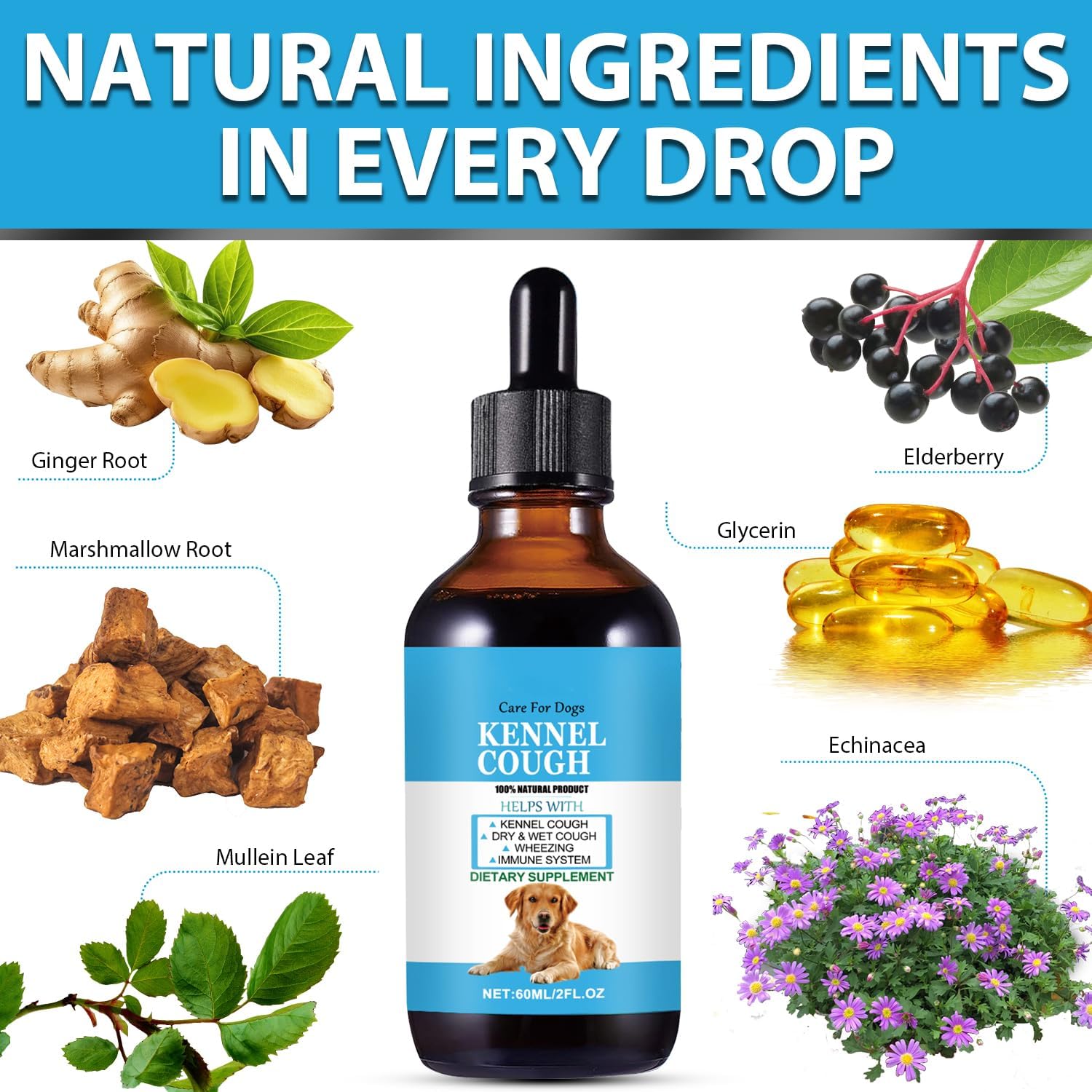 Herbal Kennel Cough Relief Drops for Dogs of All Breeds and Sizes