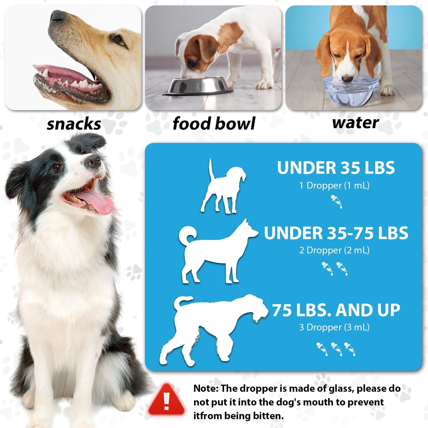 Herbal Kennel Cough Relief Drops for Dogs of All Breeds and Sizes