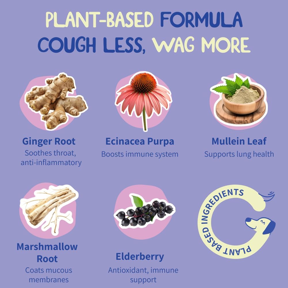 Herbal Kennel Cough Support Drops for Dogs - Natural Respiratory Wellness - Gentle Congestion Relief - Easy-to-Use Liquid Formula (60 Servings)