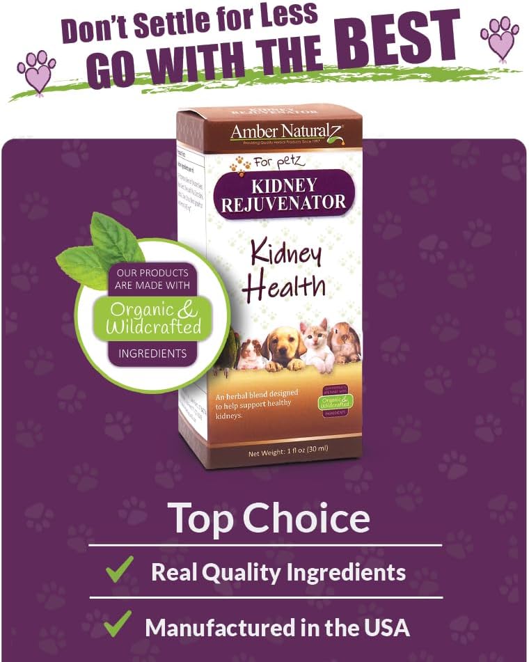 Herbal Kidney Support Supplement for Pets | Natural Kidney Rejuvenator Blend | 1oz Glass Bottle | Made in USA
