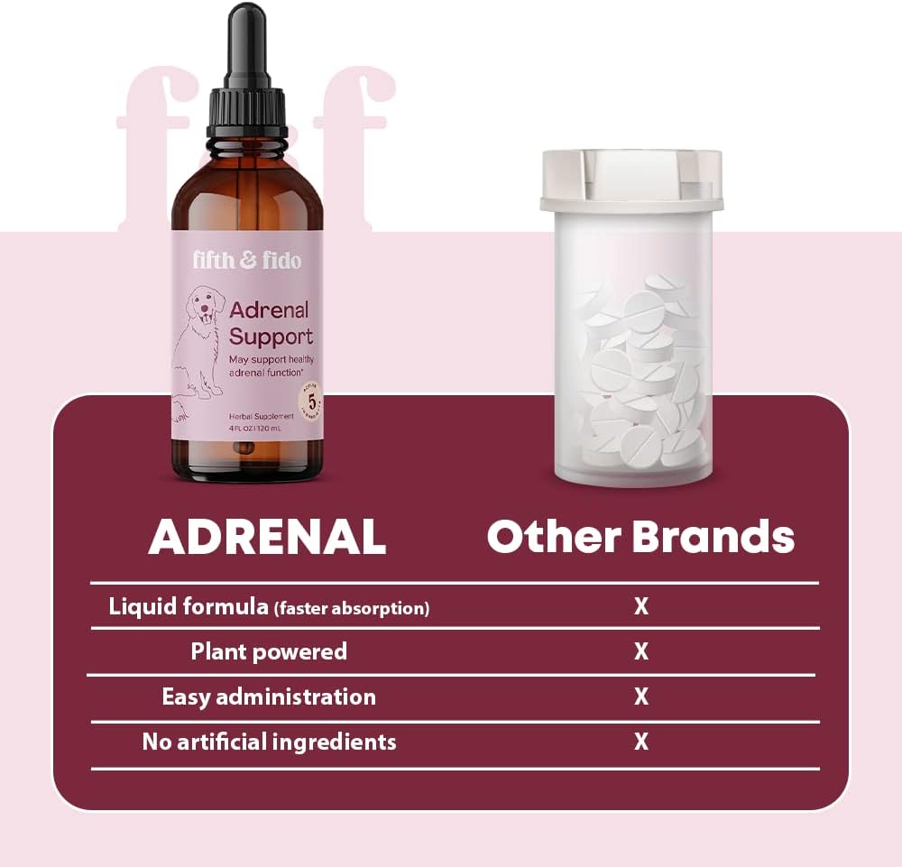 Herbal Liquid Drops for Dogs - Adrenal Support Supplement with 5 Active Ingredients - Promotes Healthy Adrenal Function - 4 fl oz