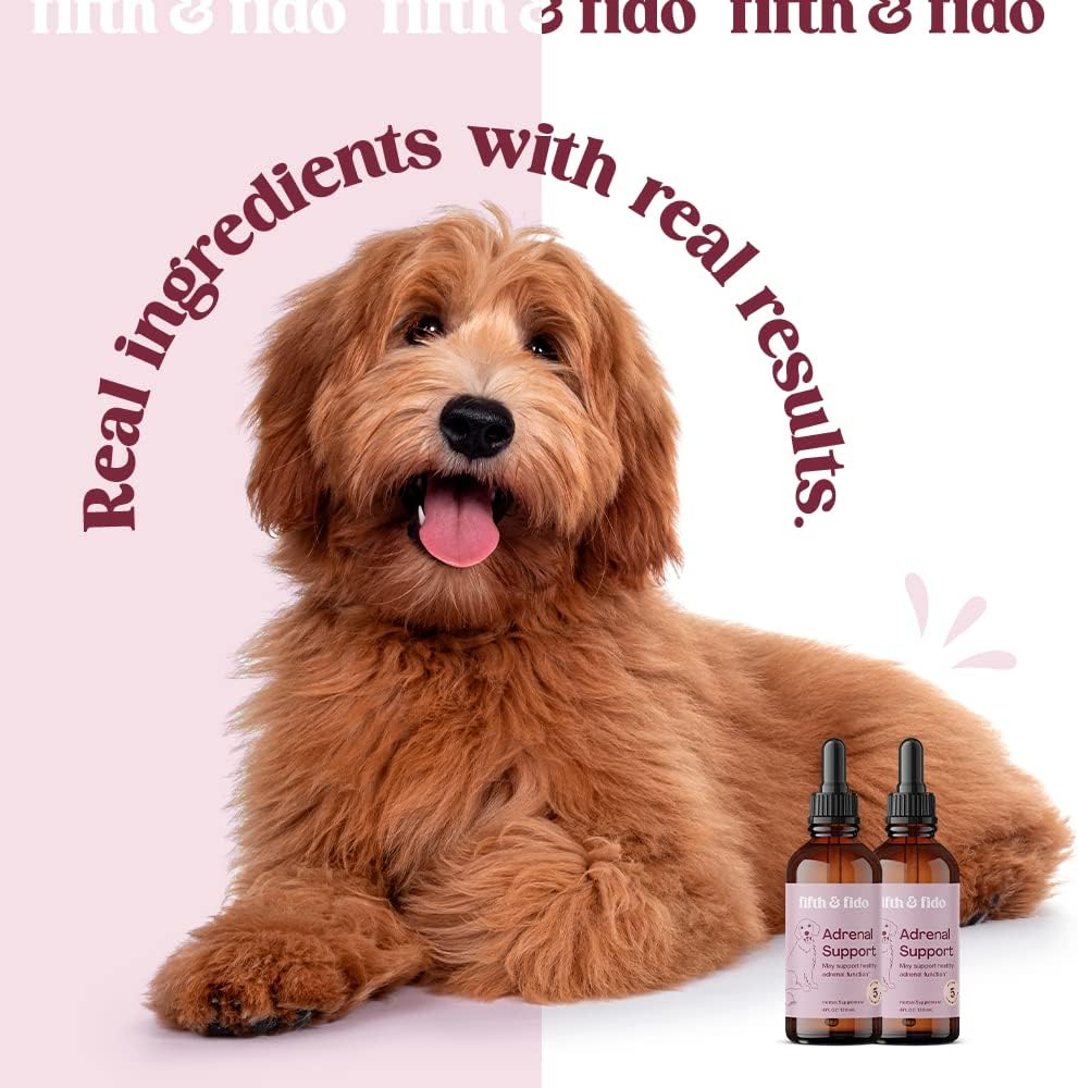 Herbal Liquid Drops for Dogs - Adrenal Support Supplement with 5 Active Ingredients - Promotes Healthy Adrenal Function - 4 fl oz