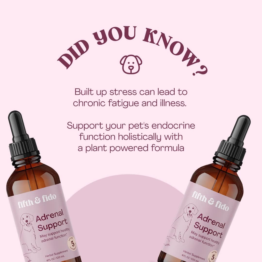 Herbal Liquid Drops for Dogs - Adrenal Support Supplement with 5 Active Ingredients - Promotes Healthy Adrenal Function - 4 fl oz