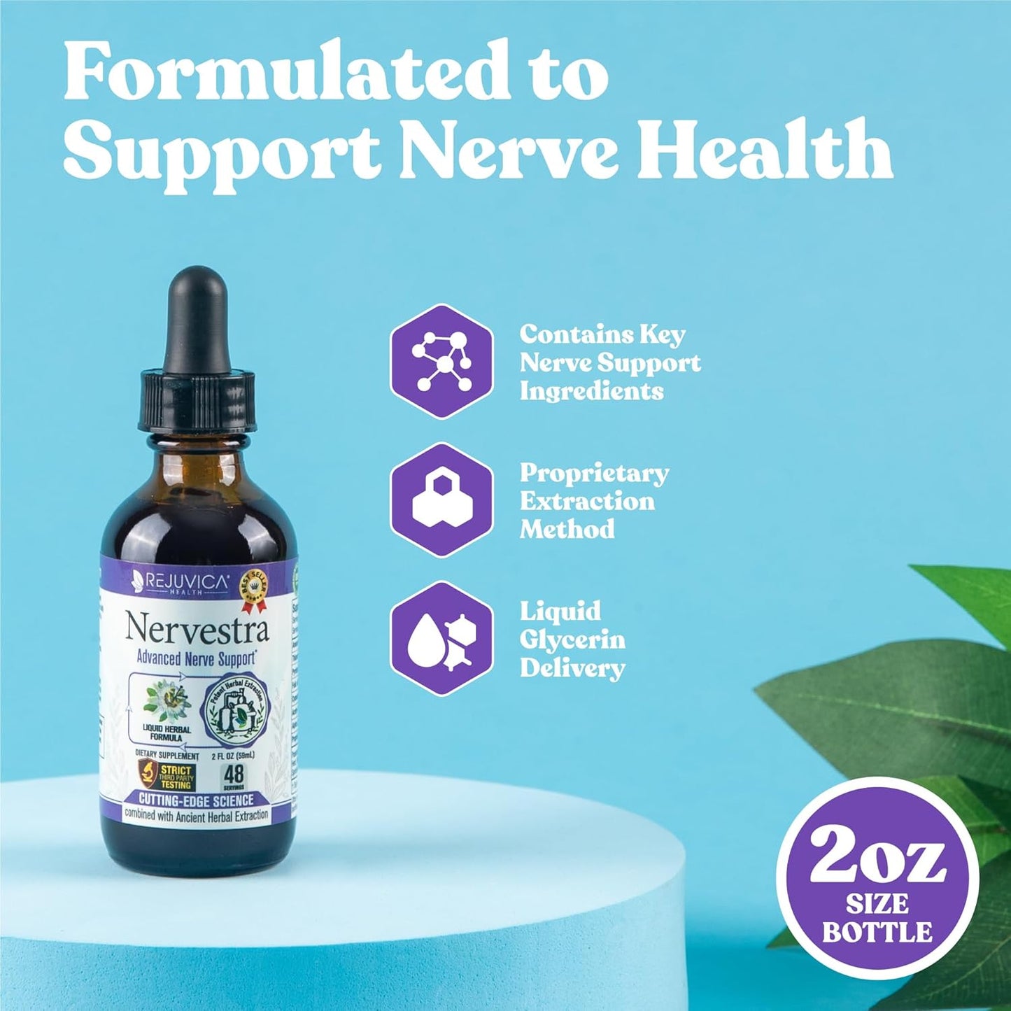 Herbal Liquid Nerve Health Supplement with Turmeric, White Willow Bark, B-Vitamins, and More - Fast-Absorbing Formula by Rejuvica Health