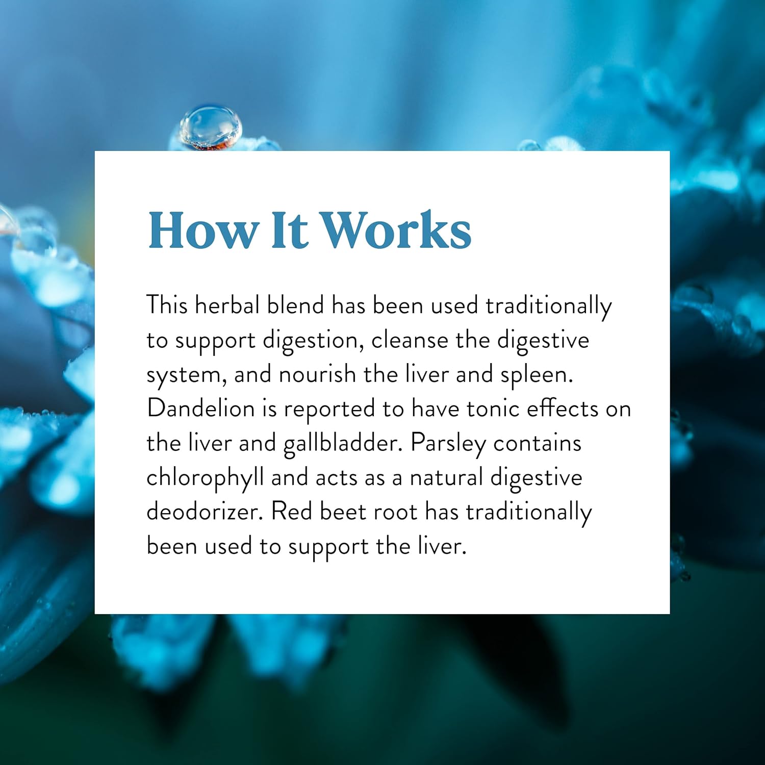 Herbal Liver and Spleen Support Capsules - Digestive System Cleanse - Nature's Sunshine LIV-J, 100 Capsules