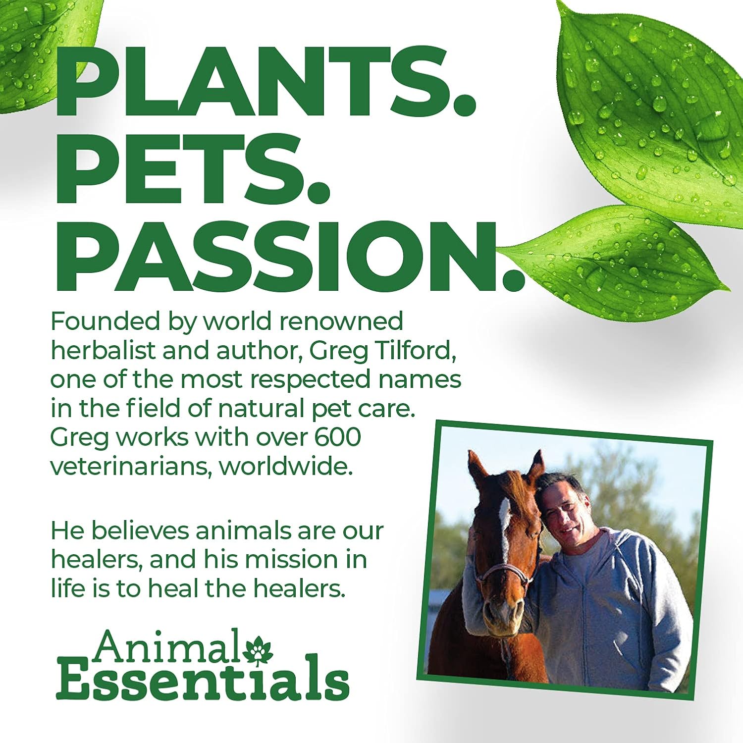 Herbal Liver Supplement for Dogs & Cats - Veterinarian Recommended Detox Blend for Animal Wellness - 2 Fl Oz