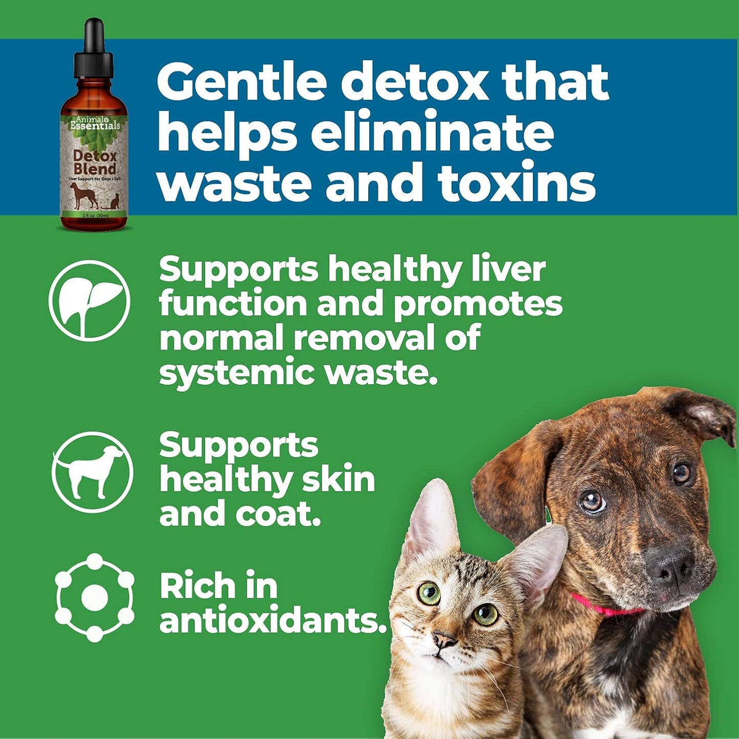 Herbal Liver Supplement for Dogs & Cats - Veterinarian Recommended Detox Blend for Animal Wellness - 2 Fl Oz