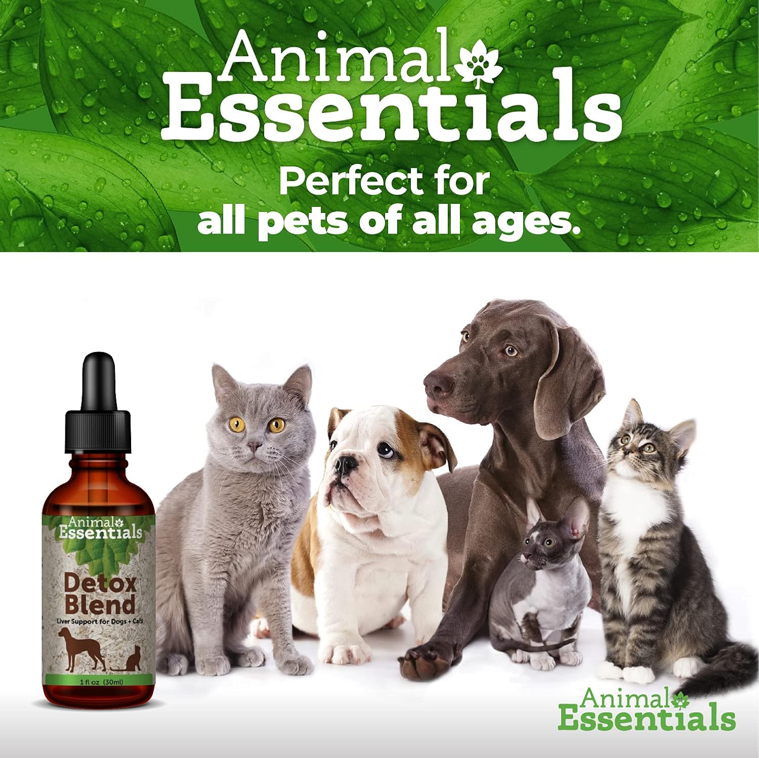 Herbal Liver Supplement for Dogs & Cats - Veterinarian Recommended Detox Blend for Animal Wellness - 2 Fl Oz
