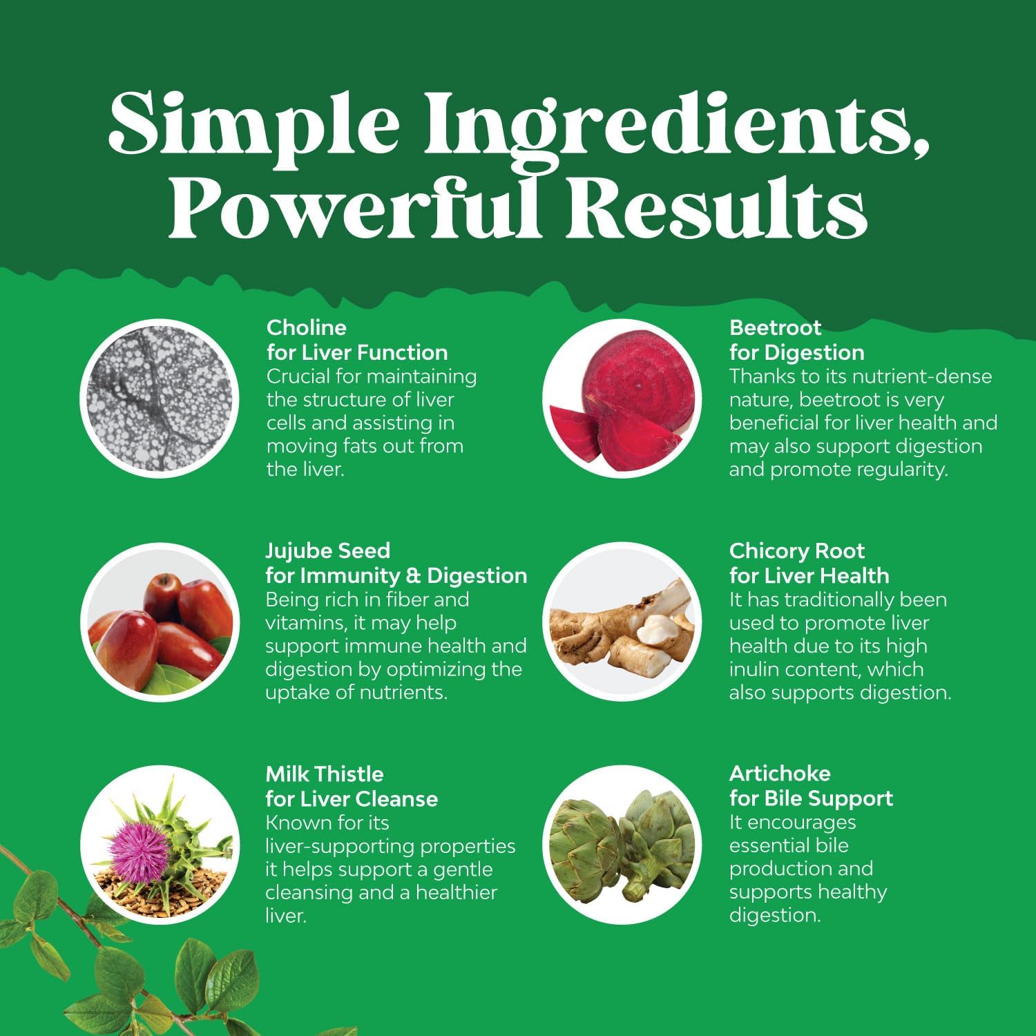 Herbal Liver Support Supplement with Milk Thistle Extract, Dandelion Root, and Artichoke - Cleanse and Detox Liver with Natural Ingredients