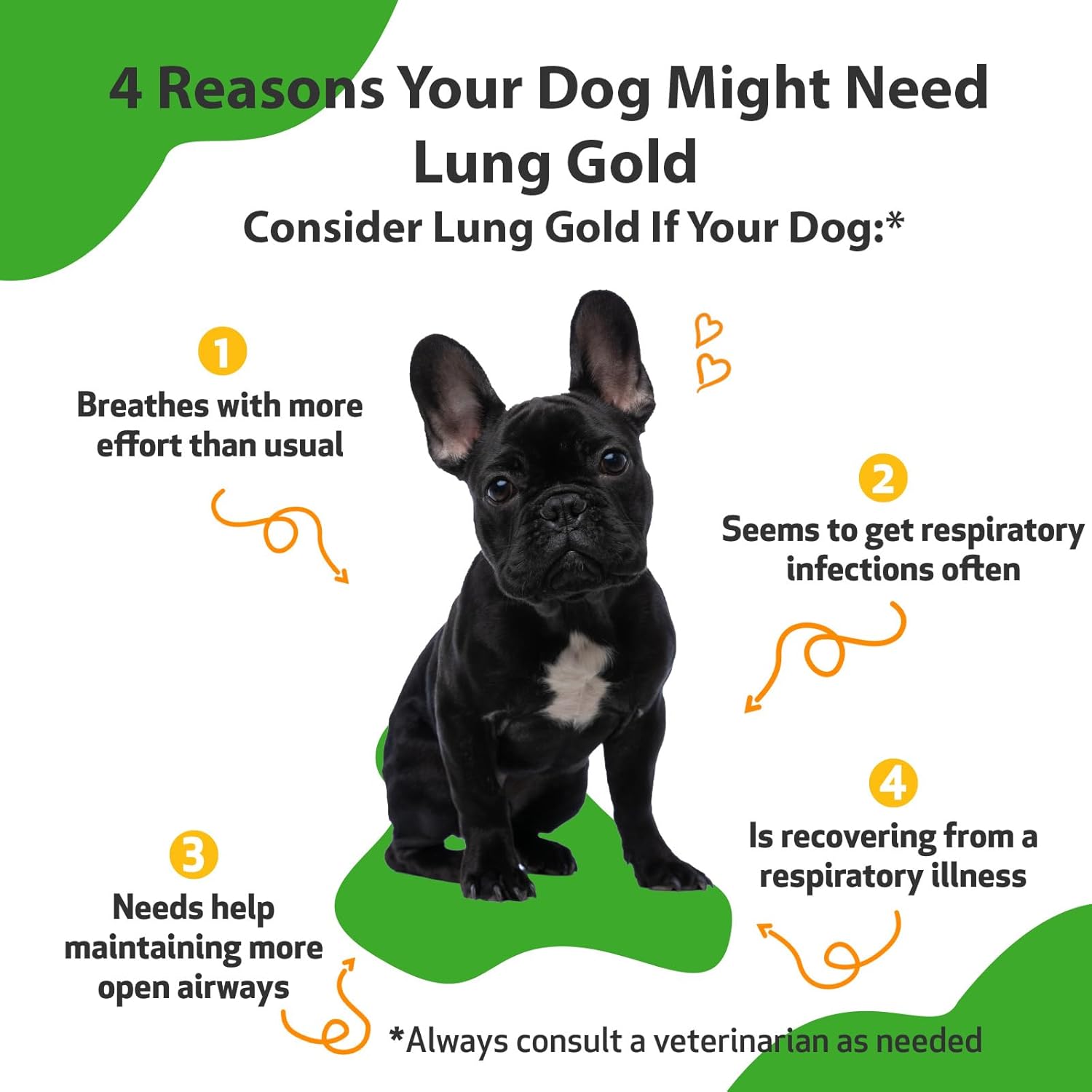 Herbal Lung Immune Support Supplement for Dogs - Veterinarian-Formulated - Promotes Respiratory Health and Normal Breathing - 2 oz