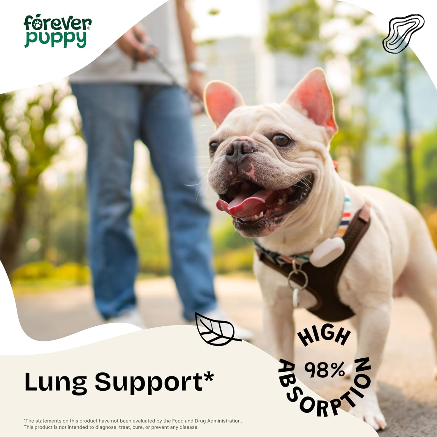 Herbal Lung Support Drops for Dogs - Mullein Leaf & Echinacea Extract - Sugar & Alcohol-Free - 2 fl oz